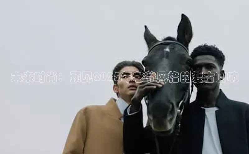 EMC体育官网入口